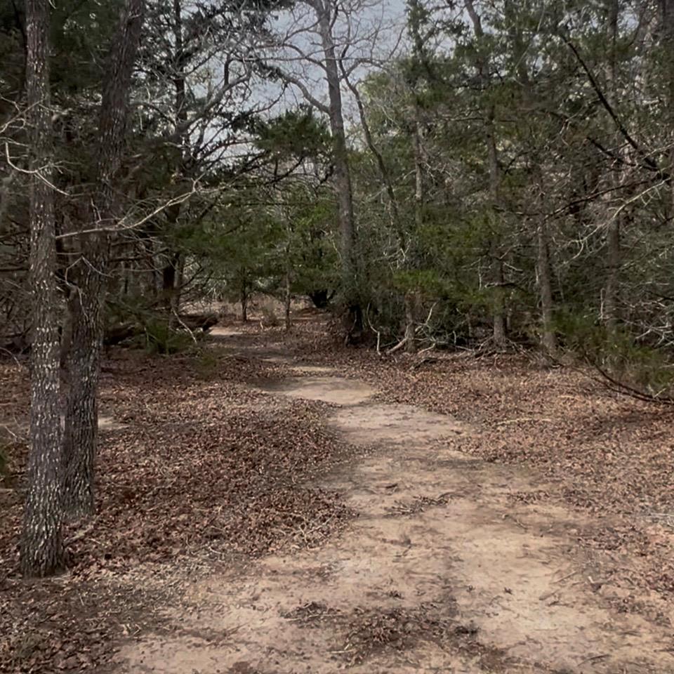 Lot 10 South Old Potato Rd, Paige, TX 78659